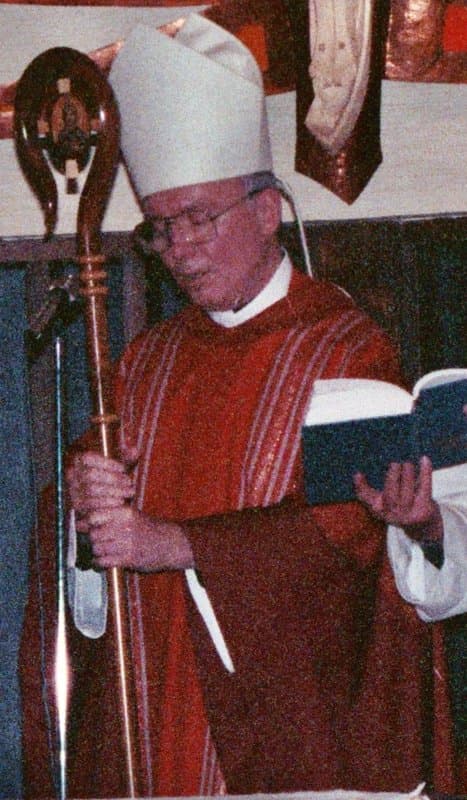 Portrait of James Cardinal Stafford