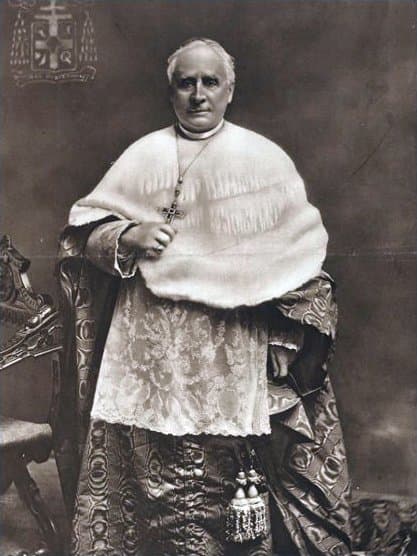 Portrait of John Cardinal Farley