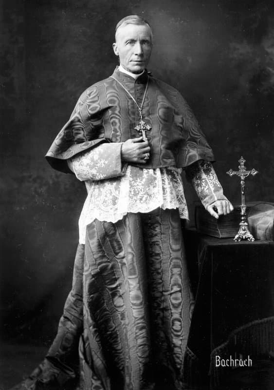 Portrait of James Cardinal Gibbons