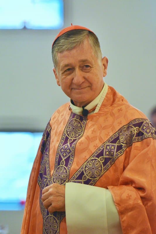 Portrait of Blase Cardinal Cupich