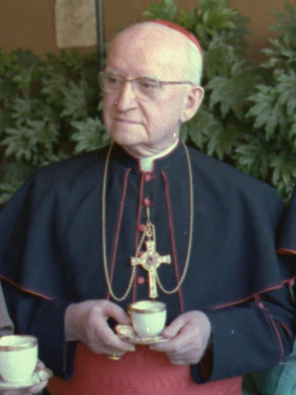 Portrait of John Cardinal Carberry