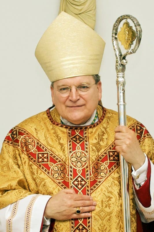 Portrait of Raymond Cardinal Burke