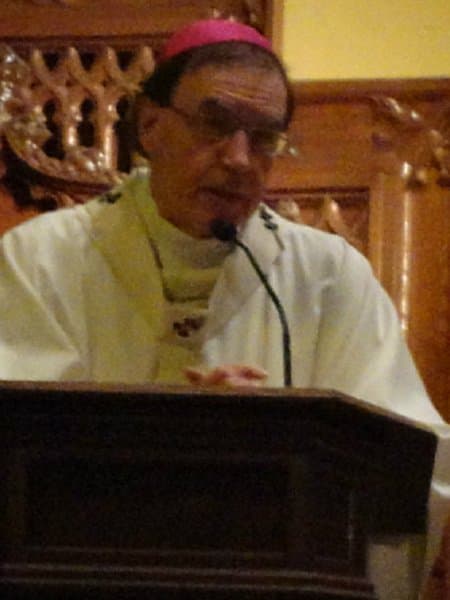 Portrait of Most Rev. Henry J. Mansell
