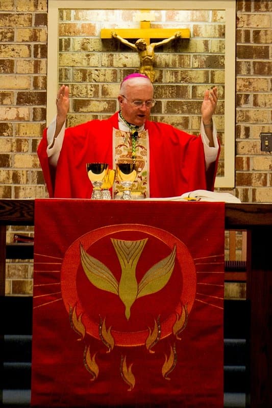 Portrait of Most Rev. Richard Higgins